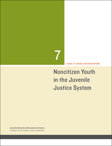 aecf-NoncitizenYouthintheJJSystemCover-2014