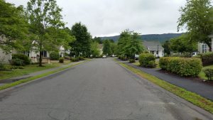 Treehouse Circle road runs along the entire Treehouse Community. Photo by Devon Ziminski.