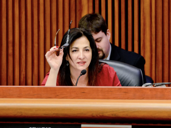 Diane Savino Staten Island New York Senate Preserving FAmily Bonds State Central Regist