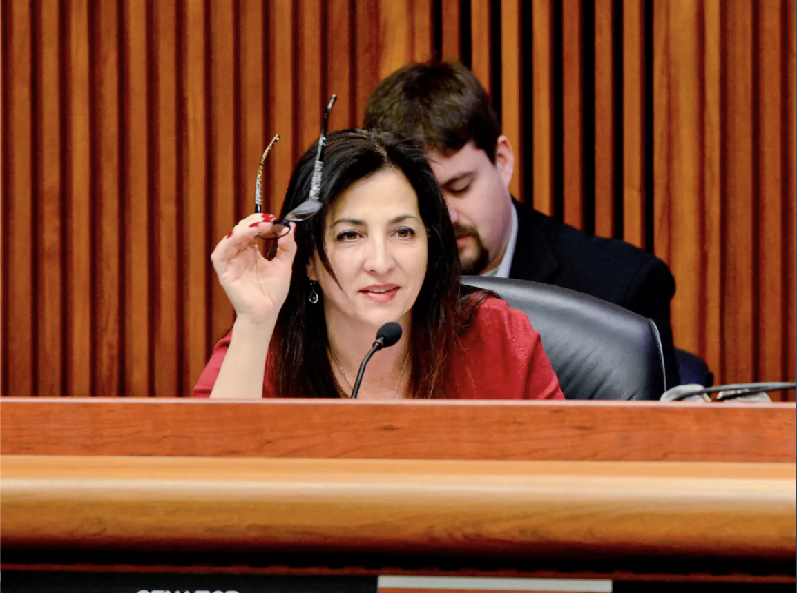 Diane Savino Staten Island New York Senate Preserving FAmily Bonds State Central Regist