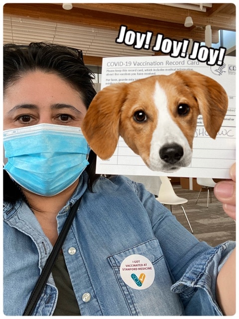 foster parent vaccine eligibility