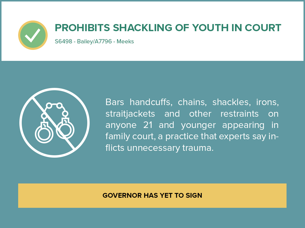 New York Legislature Roundup