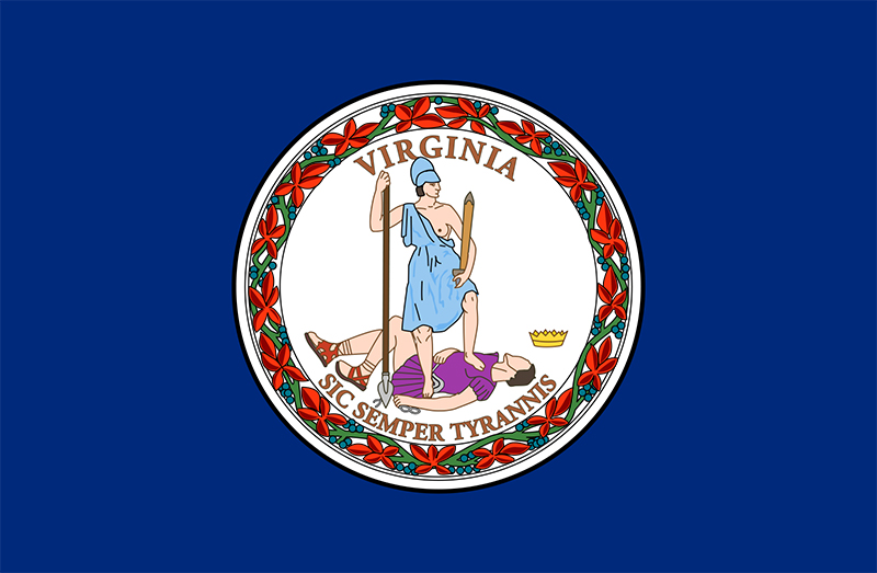 Virginia Governor Appoints Foster Care Watchdog