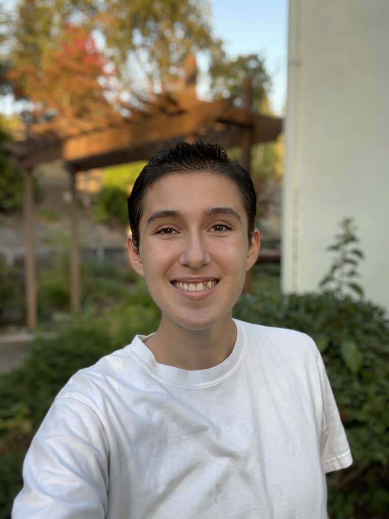 Access to Technology and Lack Thereof: Disenfranchisement in a Digital Age