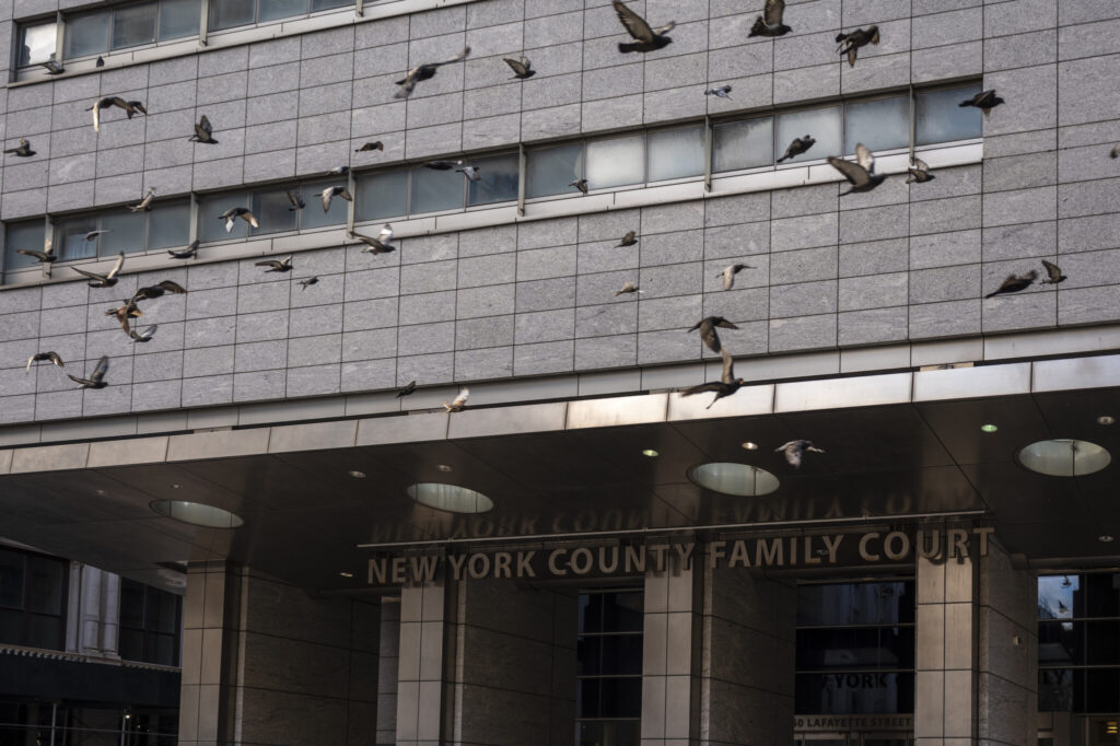 Finally, More Judges Headed to ‘Desperately Overstretched’ New York Family Courts