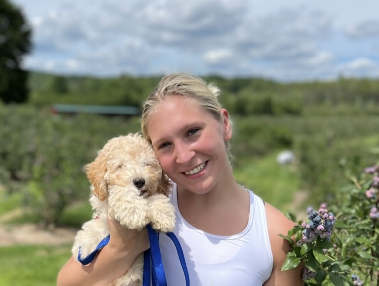 Overlooked and Underestimated