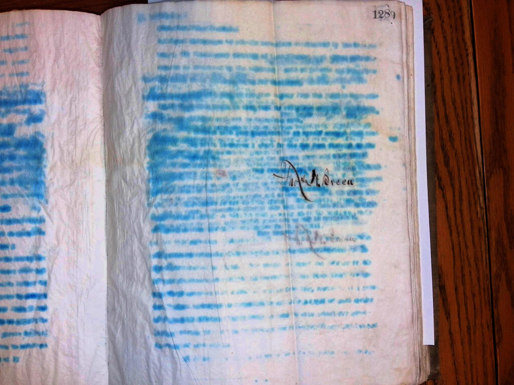 A page in an old ledger book, the blue handwriting ahs been blurred by water damage.