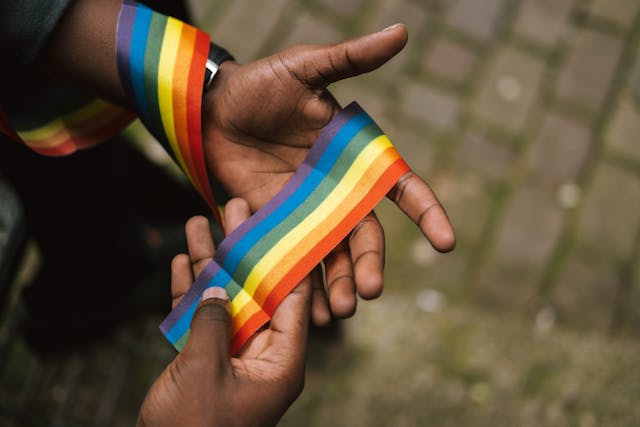 Navigating the System Through Multicolored Lenses